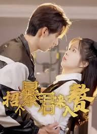 校园篮球风云影视海报