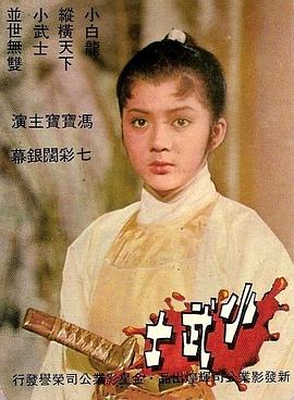 青岛交通违章查询影视海报