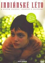 飞龙猛将电影影视海报