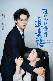 合约情人完整版百度云影视海报