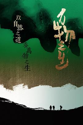 电视剧小菊的秋天影视海报