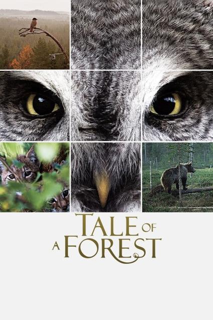 夫君谋影视海报