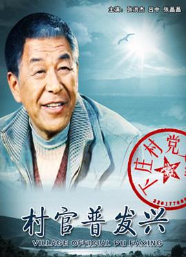 寻找梦幻之旅影视海报