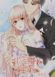 知否知否全集影视海报