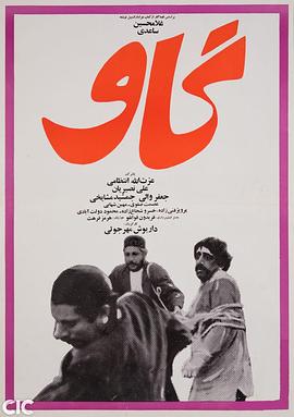 重生空间军婚农女影视海报