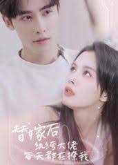 北京京师律师事务所影视海报