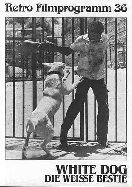 三十而已百度云影视海报